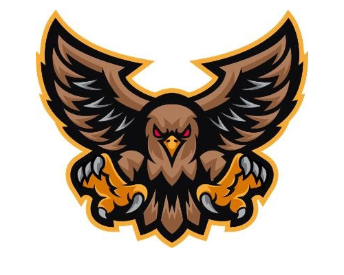 Eagles Black